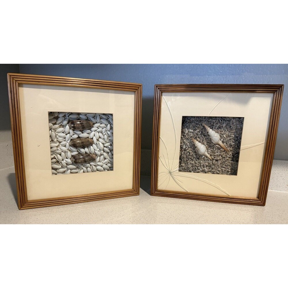 VTG Shadow Box Seashell Wall-art Framed 2pcs Set 12” X12” X 2”